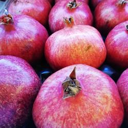 Frutteria da Zio, Roma orari di apertura