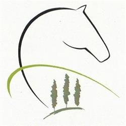Fabio Mangilli Equestrian Centre Talmassons, Flumignano - Orari di apertura