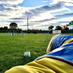 SKY DOG Cinofilia, Collegno orari di apertura