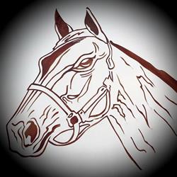 Macelleria equina Paganuzzi, Carpaneto Piacentino orari di apertura