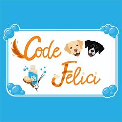 Code Felici, Carbonia orari di apertura