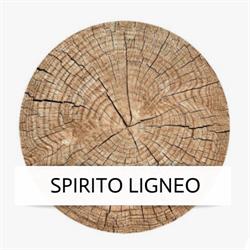 Wood Work Lab Meda, Cabiate orari di apertura