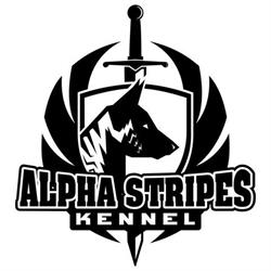 Alpha Stripes Kennel, Sassuolo orari di apertura