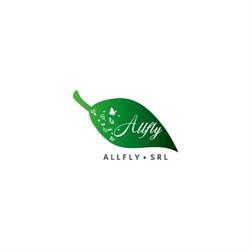 Allfly SRL, Roma orari di apertura