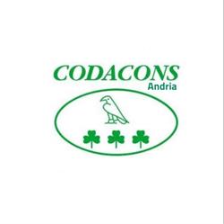 Codacons Andria, orari di apertura