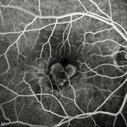 Dr.ssa Giannì Laura - Studio Oculistico, Motta Visconti orari di apertura