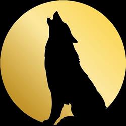 Wolf Investigazioni, Catanzaro orari di apertura