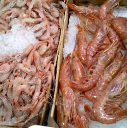 Le delizie del pescato, Palermo orari di apertura