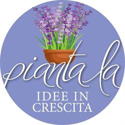 Piantala - Idee in crescita, Torino orari di apertura