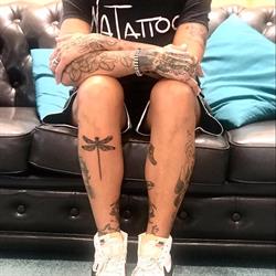 Natattoo Studio, Forlì orari di apertura