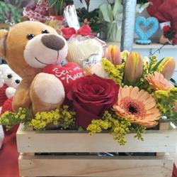 La befana dei fiori, Lugo orari di apertura