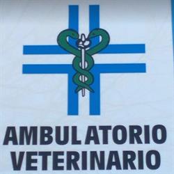 Ambulatorio Veterinario Dott. Ferrandello, Pietrasanta orari di apertura