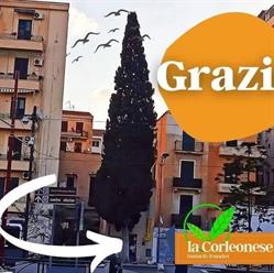 La corleonese foodsicily & market, Palermo orari di apertura