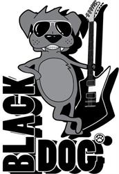 Black Dog Sala prove/Music club, Firenze orari di apertura