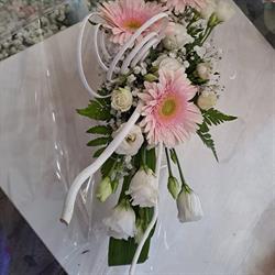 Follie in Fiore, Alba orari di apertura