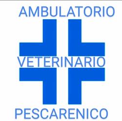 Ambulatorio Veterinario Pescarenico, Lecco orari di apertura