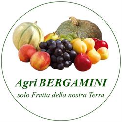 agribergamini, San Felice sul Panaro orari di apertura