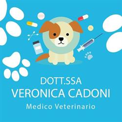 Ambulatorio Veterinario dott.ssa Veronica Cadoni, Olmedo orari di apertura