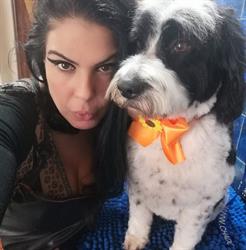 Sara Dog Style, Sassari orari di apertura