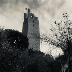 Agenzia Immobiliare Perseo Real Estate, San Miniato orari di apertura