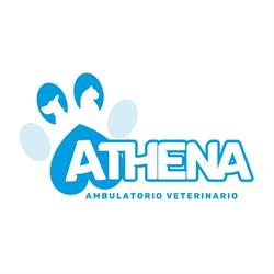 Athena Ambulatorio Veterinario, Vasto orari di apertura
