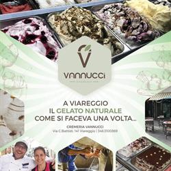 Cremeria Vannucci gelateria artigianale, Viareggio orari di apertura