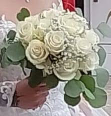 Petali di Coccia Edoardo, San Benedetto del Tronto orari di apertura