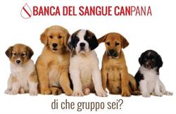 Banca del Sangue CaNpana, Portici orari di apertura