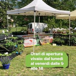 ORT ANTIGH, Colorno orari di apertura