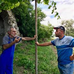 Ripanero, Rionero in Vulture orari di apertura