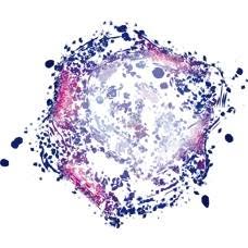 Nebula Design, Pasteria orari di apertura