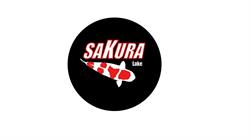 Sakura Lake Asd, Montesilvano orari di apertura