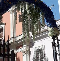 Decor Floral design, Maddaloni orari di apertura