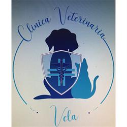 Clinica Veterinaria Vela, Fondi orari di apertura