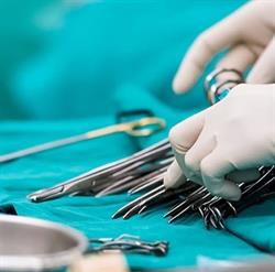 Ambulatorio veterinario Dott. Luca Liprino, Capo d'Orlando orari di apertura