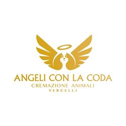 Angeli con la Coda Vercelli, orari di apertura