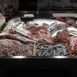La bottega del pescato, Villanova d'Albenga orari di apertura