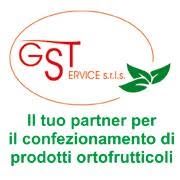 GST Service SRLS, Vittoria orari di apertura