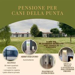 Pensione Della Punta, Alessandria orari di apertura