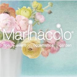 Marinaccio Fiori, Caserta orari di apertura