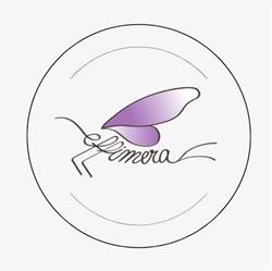 Effimera Shop, Feltre orari di apertura