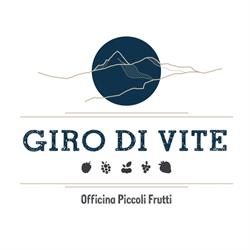 Giro di Vite, Pinerolo orari di apertura