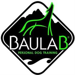 Baulab Personal Dog Training, Savigliano orari di apertura