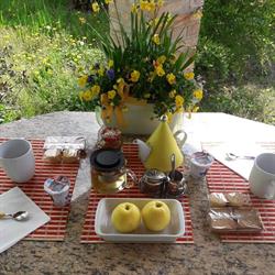 SWEET HOME B&B Gradisca d'Isonzo -GO, orari di apertura