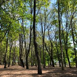 Parco delle Querce Sporting Club, Latina orari di apertura
