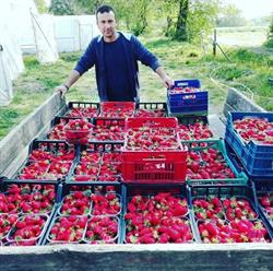 Az. Agricola Pierotti Maurizio, Gradara orari di apertura