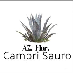 Az. Flor. Campri Sauro, Ravenna orari di apertura