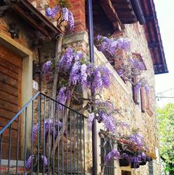 Casa Vacanze Il Glicine Laterina Pergine Valdarno, Laterina - Orari di apertura