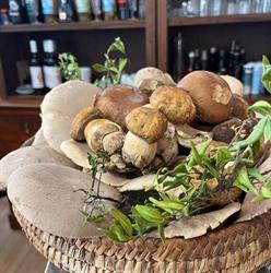 Osteria da mimmo, Oristano orari di apertura
