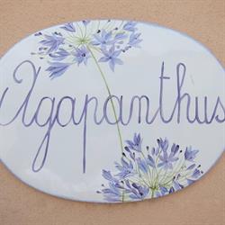 Agapanthus - bilocale, la campagna sul mare, Loano orari di apertura